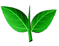 Tamil Congress Sticker