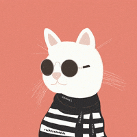 Cool Cat GIF