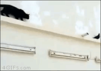 GIF by Demic
