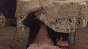 henry danger table GIF by Nickelodeon