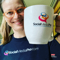 socialmediapro social media manager socialmediamanager socialmediamanagement social media pro GIF