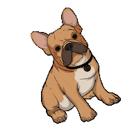 Bulldog Sticker by Milano Fashion Agency