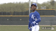 kansas city royals GIF by MLB