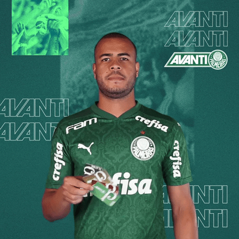 Puma Serio GIF by SE Palmeiras