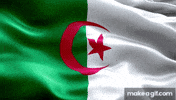 Flag Algeria GIF