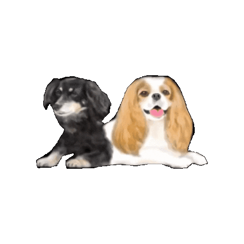 Dog Sticker