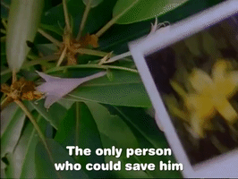 season 2 GIF