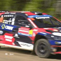 Rallying Full Throttle GIF by FIA European Rally Championship