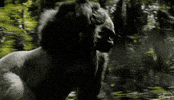 Gorilla Ivan GIF by Walt Disney Studios