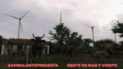 ambulantepresenta gentedemaryviento GIF