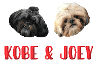 Dog Sticker