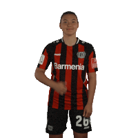 I Like Yes Sticker by Bayer 04 Leverkusen