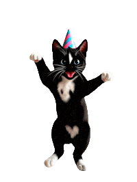 Happy Birthday Sticker by Felini Rocks