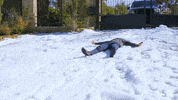 GIF by Miz & Mrs