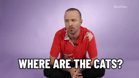 Aaron Paul GIF by BuzzFeed