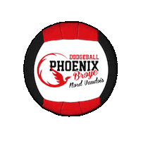 swissdodgeball phoenix dodgeball swissdodgeball clothdodgeball Sticker