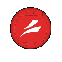 swissdodgeball ball dodgeball swissdodgeball clothdodgeball Sticker