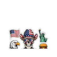 Estados Unidos Soccer Sticker