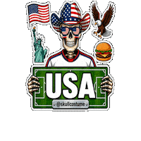 Estados Unidos Soccer Sticker