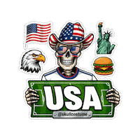 Estados Unidos Soccer Sticker