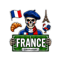France Soccer Sticker