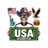 Estados Unidos Soccer Sticker