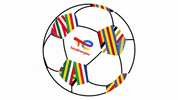 TotalEnergiesDZ football foot chan total GIF