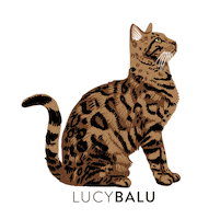 Cat Bengal Sticker by LucyBalu