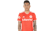 Vamointer Diadeinter Sticker by Sport Club Internacional