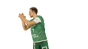 Team Handball Sticker by SCDHFK