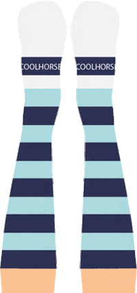 Socks Sticker by coolhorsesocks