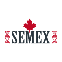 Semex Team Sticker by semexbrasil