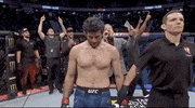 Sport Mma GIF by UFC