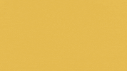 Cal State La Ncaa GIF by Cal State LA Golden Eagles