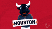 Get Up Nfl GIF by Houston Texans