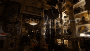 sub pop drunk in la GIF by Sub Pop Records