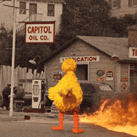Sesame Street Fire GIF by Bell Brothers