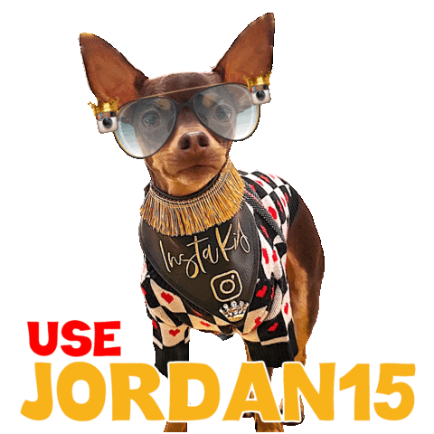 Dog Model Chihuahua Sticker by Pimp Yo Pets