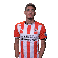 Football Soccer Sticker by PSV