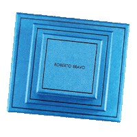 Surprise Shopping Sticker by Roberto Bravo