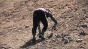 steve austin cmt GIF by Steve Austin's Broken Skull Challenge