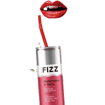 Fizz Seltzer Sticker by Get Fizzy
