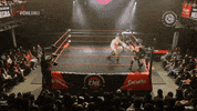 cnlgif luchachilena GIF by CNL Chile