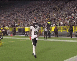 Philadelphia Eagles Go Birds GIF by Stock King Options