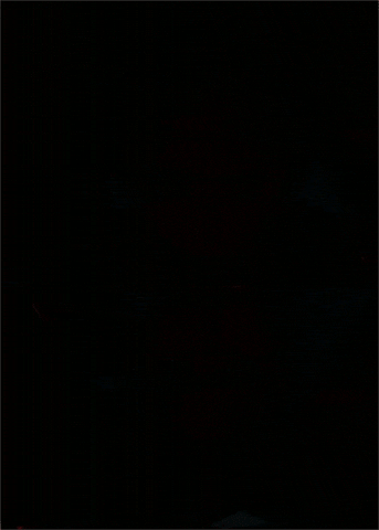 Flashing Live Action GIF by Dyan Jong