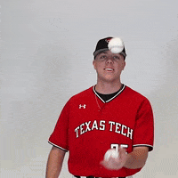 Texas Tech GIF by Texas Tech Baseball