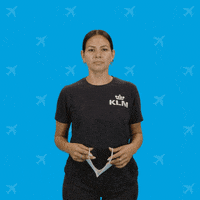 Royal Dutch Airlines Thumbs Up GIF by KLM