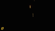 dance party GIF