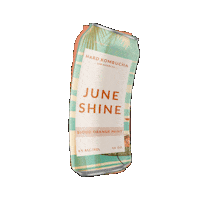 Kombucha Sticker by JuneShine