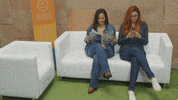 madeiramadeira madeira sommelier sofas madeiramadeira GIF